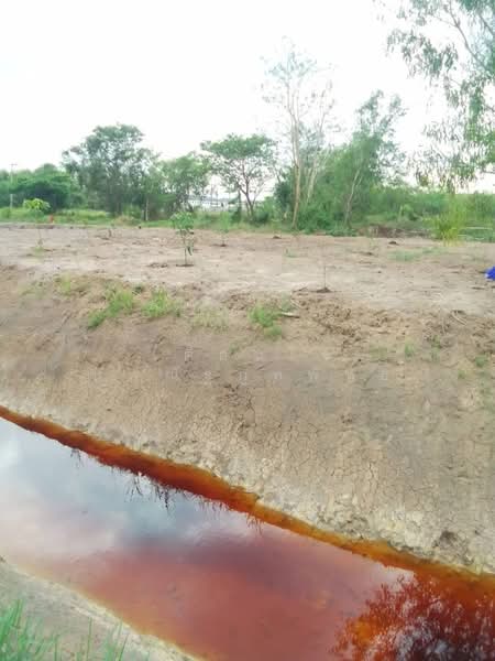 ขายที่ดิน 1 ไร่ รังสิต คลอง 6 ฝั่งตะวันออก ใกล้มทร.ธัญบุรี เข้าออกได้ 2 ทาง, ปทุมธานี, คลองหก, คลองหลวง, ปทุมธานี, 1,600 ตร.ม., ที่ดิน ขาย, โดย เตือนใจ นพณัฐกูลพัทธ์, 500159458 - DDproperty.com