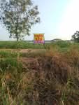 ขายที่ดิน 1 ไร่ รังสิต คลอง 6 ฝั่งตะวันออก ใกล้มทร.ธัญบุรี เข้าออกได้ 2 ทาง, ปทุมธานี
