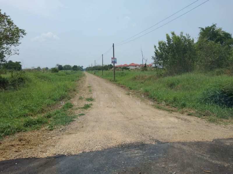 ขายที่ดิน 1 ไร่ รังสิต คลอง 6 ฝั่งตะวันออก ใกล้มทร.ธัญบุรี เข้าออกได้ 2 ทาง, ปทุมธานี, คลองหก, คลองหลวง, ปทุมธานี, 1,600 ตร.ม., ที่ดิน ขาย, โดย เตือนใจ นพณัฐกูลพัทธ์, 500159458 - DDproperty.com