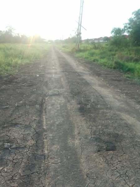 ขายที่ดิน 1 ไร่ รังสิต คลอง 6 ฝั่งตะวันออก ใกล้มทร.ธัญบุรี เข้าออกได้ 2 ทาง, ปทุมธานี, คลองหก, คลองหลวง, ปทุมธานี, 1,600 ตร.ม., ที่ดิน ขาย, โดย เตือนใจ นพณัฐกูลพัทธ์, 500159458 - DDproperty.com