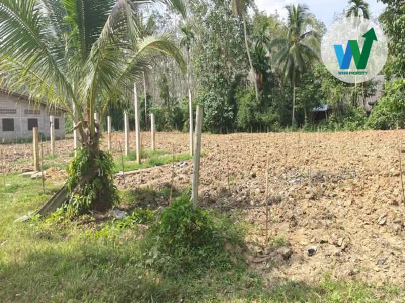 ขาย - ขายบ้านเดี่ยวพร้อมที่ดินขายด่วนราคาถูกหลังมหาวิทยาลัยทักษินพัทลุง, พัทลุง