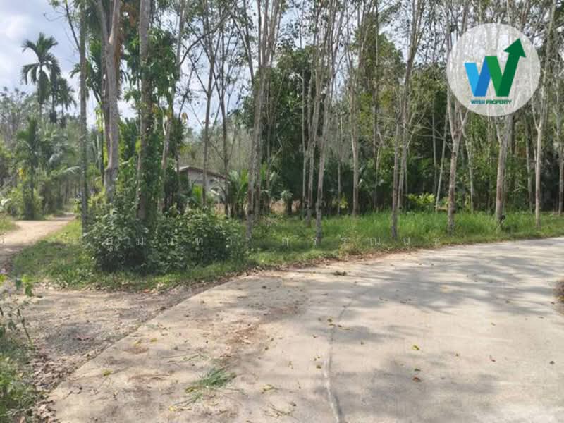For Sale - For sale Land Kotao Paphayom Phatthalung, Phatthalung