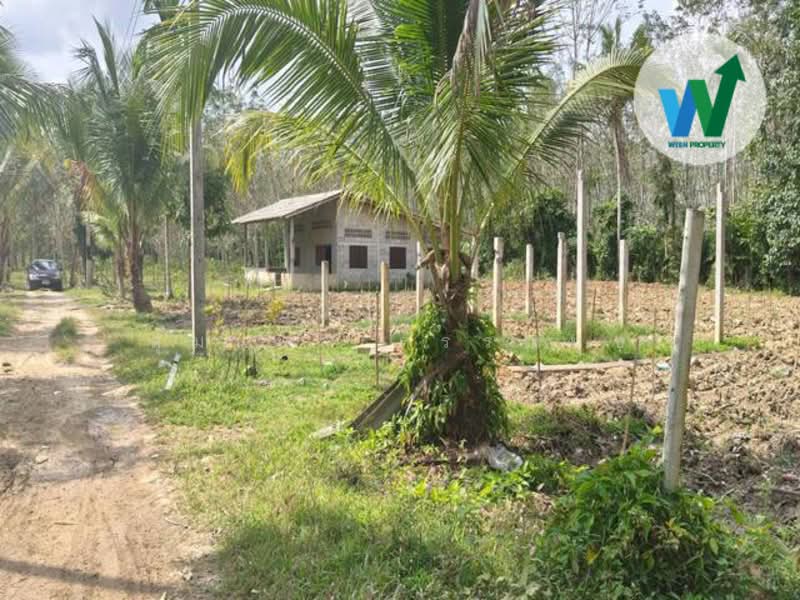 ขาย - ขายบ้านเดี่ยวพร้อมที่ดินขายด่วนราคาถูกหลังมหาวิทยาลัยทักษินพัทลุง, พัทลุง