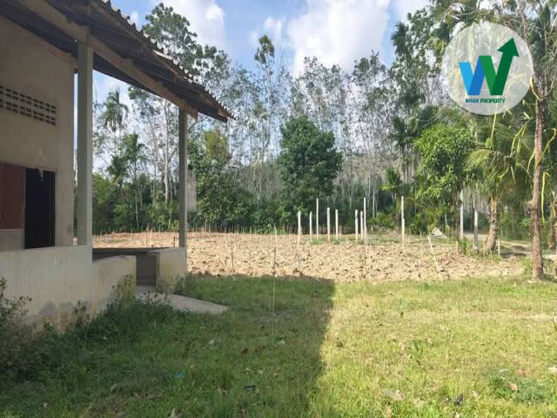 For Sale - For sale Land Kotao Paphayom Phatthalung, Phatthalung