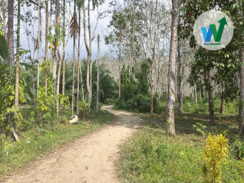For Sale - For sale Land Kotao Paphayom Phatthalung, Phatthalung