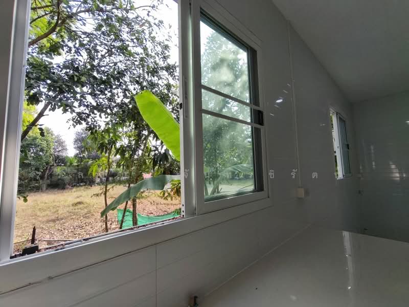 ม.เรือนสุข1 ธัญบุรี คลอง7, ปทุมธานี, ลำผักกูด, ธัญบุรี, ปทุมธานี, 90 ตร.ม., ทาวน์เฮ้าส์ ขาย, โดย วัลลภา จันทร์ชิรัตน์, 500159683 - DDproperty.com