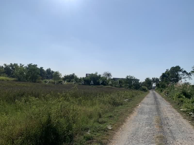 ที่ดินคลอง7 ลำลูกกา ปทุมธานี, Pathum Thani, Bung Kham Proi, Lam Luk Ka, Pathum Thani, , 1,600 sqm, Land For Sale, by Pimprapai P., 500159768 - DDproperty.com