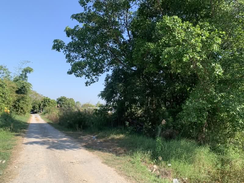 ที่ดินคลอง7 ลำลูกกา ปทุมธานี, Pathum Thani, Bung Kham Proi, Lam Luk Ka, Pathum Thani, , 1,600 sqm, Land For Sale, by Pimprapai P., 500159768 - DDproperty.com