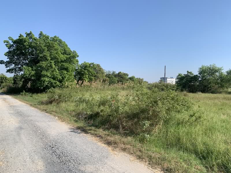 ที่ดินคลอง7 ลำลูกกา ปทุมธานี, ปทุมธานี, บึงคำพร้อย, ลำลูกกา, ปทุมธานี, 1,600 ตร.ม., ที่ดิน ขาย, โดย Pimprapai P., 500159768 - DDproperty.com