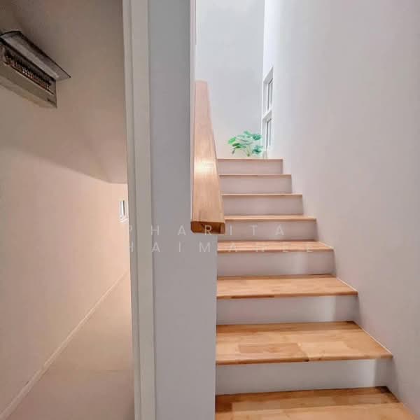 HOLM San Phi Suea, Chiang Mai, San Phi Sua, Muang Chiang Mai, Chiang Mai, 3 Bedrooms, 100 sqm, Townhouse For Rent, by Pharita Chaimanee, 500159775 - DDproperty.com