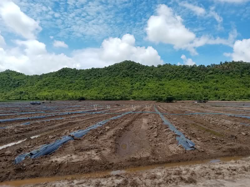 พังตรุ, กาญจนบุรี, พังตรุ, ท่าม่วง, กาญจนบุรี, 23,020 ตร.ม., ที่ดิน ขาย, โดย บูม บูม, 500159820 - DDproperty.com