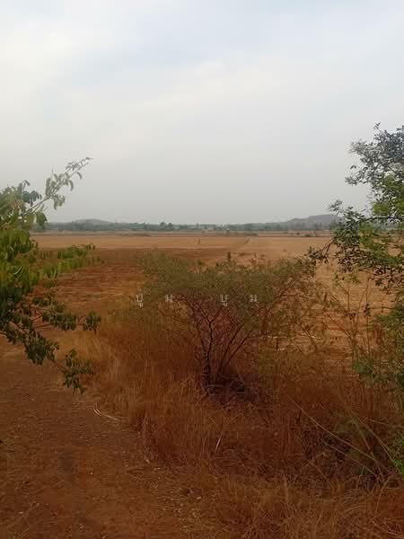 Pungtru, Thamuang, Kanchanaburi, Kanchanaburi, Phang Tru, Tha Muang, Kanchanaburi, , 23,020 sqm, Land For Sale, by Kittisap Lertharn, 500159820 - DDproperty.com