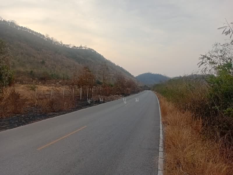 พังตรุ, กาญจนบุรี, พังตรุ, ท่าม่วง, กาญจนบุรี, 23,020 ตร.ม., ที่ดิน ขาย, โดย บูม บูม, 500159820 - DDproperty.com