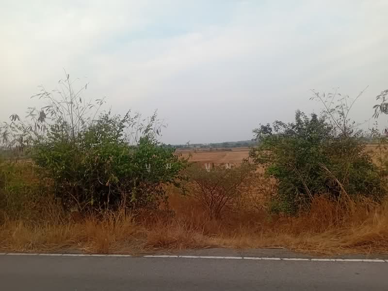 พังตรุ, กาญจนบุรี, พังตรุ, ท่าม่วง, กาญจนบุรี, 23,020 ตร.ม., ที่ดิน ขาย, โดย บูม บูม, 500159820 - DDproperty.com