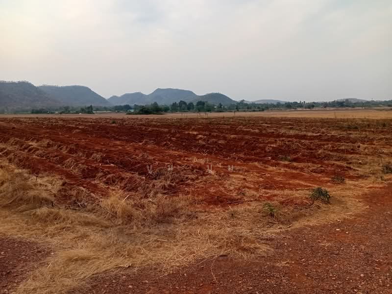 พังตรุ, กาญจนบุรี, พังตรุ, ท่าม่วง, กาญจนบุรี, 23,020 ตร.ม., ที่ดิน ขาย, โดย บูม บูม, 500159820 - DDproperty.com