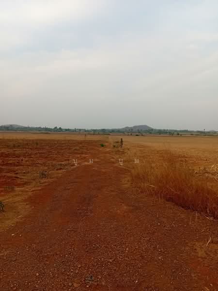 พังตรุ, กาญจนบุรี, พังตรุ, ท่าม่วง, กาญจนบุรี, 23,020 ตร.ม., ที่ดิน ขาย, โดย บูม บูม, 500159820 - DDproperty.com