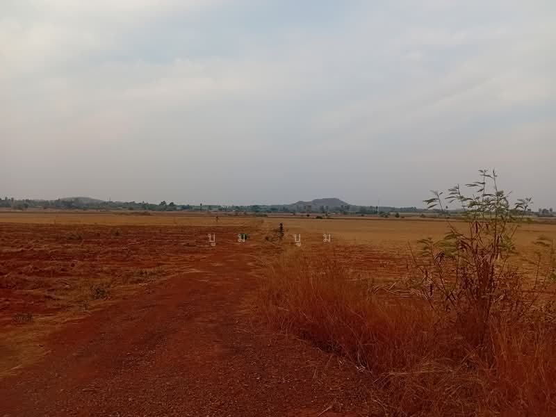 พังตรุ, กาญจนบุรี, พังตรุ, ท่าม่วง, กาญจนบุรี, 23,020 ตร.ม., ที่ดิน ขาย, โดย บูม บูม, 500159820 - DDproperty.com