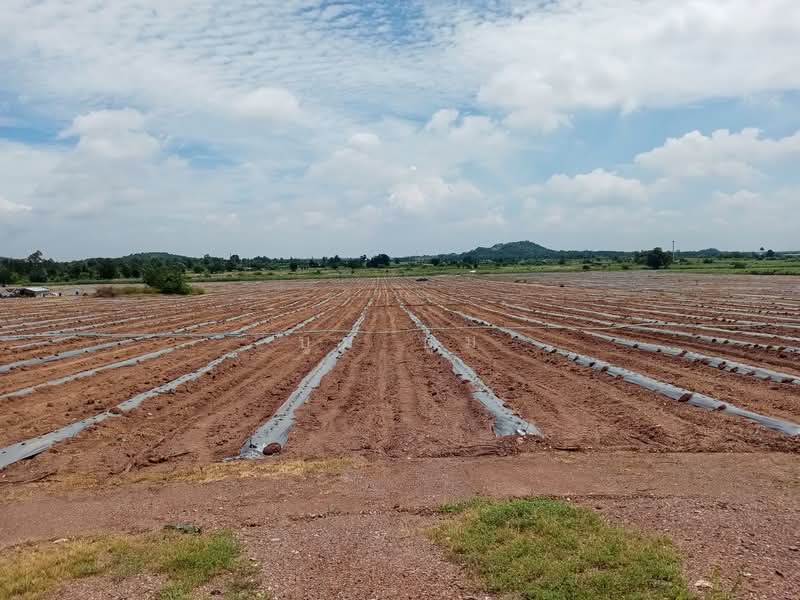 พังตรุ, กาญจนบุรี, พังตรุ, ท่าม่วง, กาญจนบุรี, 23,020 ตร.ม., ที่ดิน ขาย, โดย บูม บูม, 500159820 - DDproperty.com