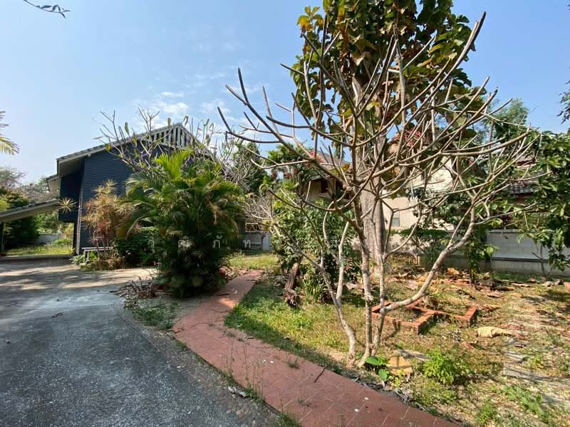 Changphueak, Chiang Mai, Chang Phuak, Muang Chiang Mai, Chiang Mai, 3 Bedrooms, 250 sqm, Single Detached House For Rent, by วุฒิภัทร มิ่งคำ, 500159880 - DDproperty.com