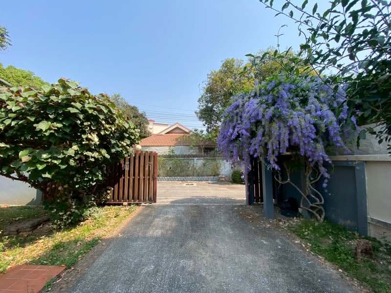 ช้างเผือก, เชียงใหม่, ช้างเผือก, เมืองเชียงใหม่, เชียงใหม่, 250 ตร.ม., บ้านเดี่ยว ให้เช่า, โดย วุฒิภัทร มิ่งคำ, 500159880 - DDproperty.com