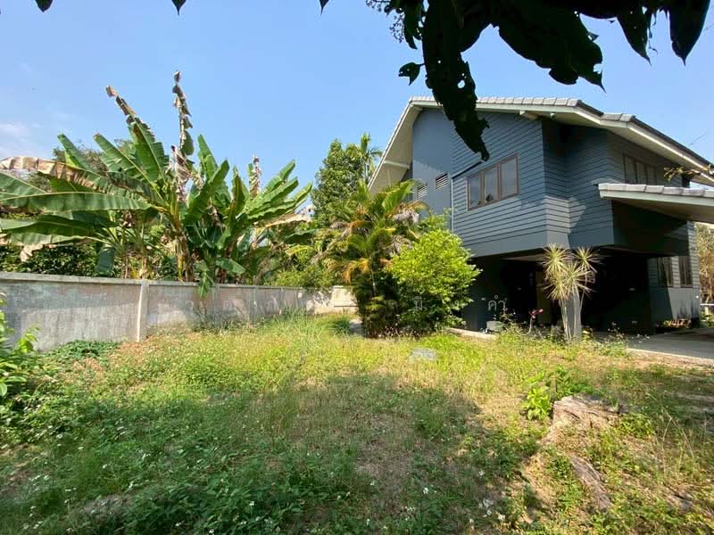 Changphueak, Chiang Mai, Chang Phuak, Muang Chiang Mai, Chiang Mai, 3 Bedrooms, 250 sqm, Single Detached House For Rent, by วุฒิภัทร มิ่งคำ, 500159880 - DDproperty.com