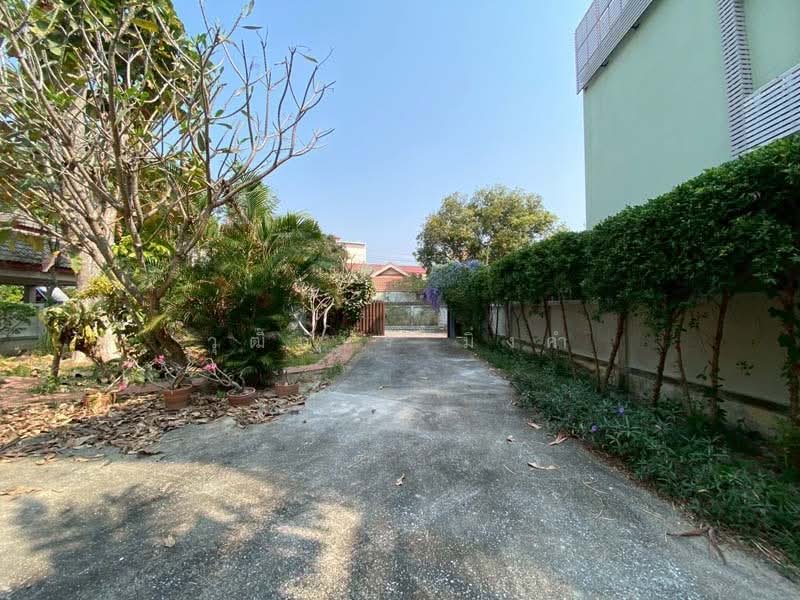 ช้างเผือก, เชียงใหม่, ช้างเผือก, เมืองเชียงใหม่, เชียงใหม่, 250 ตร.ม., บ้านเดี่ยว ให้เช่า, โดย วุฒิภัทร มิ่งคำ, 500159880 - DDproperty.com