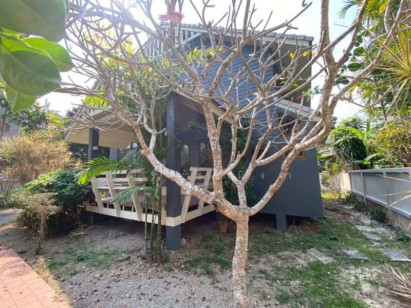 Changphueak, Chiang Mai, Chang Phuak, Muang Chiang Mai, Chiang Mai, 3 Bedrooms, 250 sqm, Single Detached House For Rent, by วุฒิภัทร มิ่งคำ, 500159880 - DDproperty.com