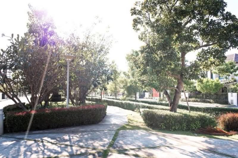 San Phi Suea, Chiang Mai, San Phi Sua, Muang Chiang Mai, Chiang Mai, 2 Bedrooms, 137 sqm, Single Detached House For Rent, by วุฒิภัทร มิ่งคำ, 500159915 - DDproperty.com