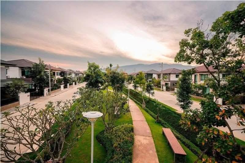 San Phi Suea, Chiang Mai, San Phi Sua, Muang Chiang Mai, Chiang Mai, 2 Bedrooms, 137 sqm, Single Detached House For Rent, by วุฒิภัทร มิ่งคำ, 500159915 - DDproperty.com