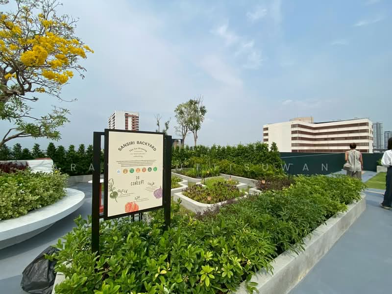 The Muve Bangwa, Bangkok, เพชรเกษม, Bang Wa, Phasi Charoen, Bangkok, Studio, 24 sqm, Condo For Sale, by Araya Suttisuwan, 500159954 - DDproperty.com