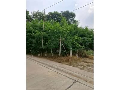 ขาย - ที่ดินเปล่า 199 ตร.ว. ที่ดิน ถนนสุขาภิบาล5 ซอย5 แยก4, กรุงเทพ