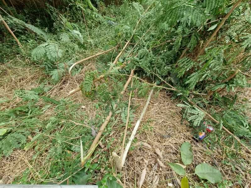 ที่ดินเปล่า 199 ตร.ว. ที่ดิน ถนนสุขาภิบาล5 ซอย5 แยก4, กรุงเทพ, ท่าแร้ง, บางเขน, กรุงเทพ, 796 ตร.ม., ที่ดิน ขาย, โดย คุณ วันประภา จุสมใจ (กุ้ง), 500159972 - DDproperty.com