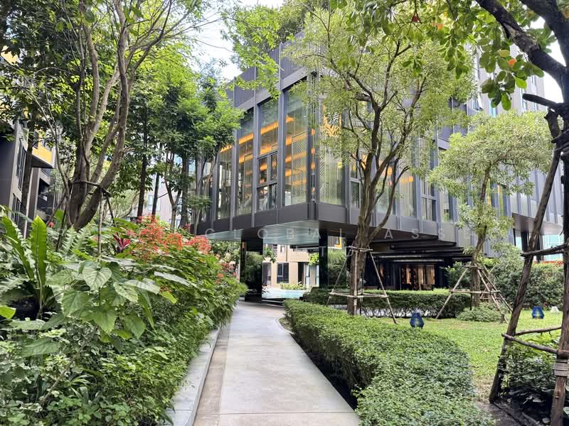 The Base Central, Phuket, Chao Fah Tawan Tok Rd, Wichit, Muang Phuket, Phuket, 1 Bedroom, 26 sqm, Condo For Rent, by Prime Global Asset Co.,Ltd, 500160026 - DDproperty.com