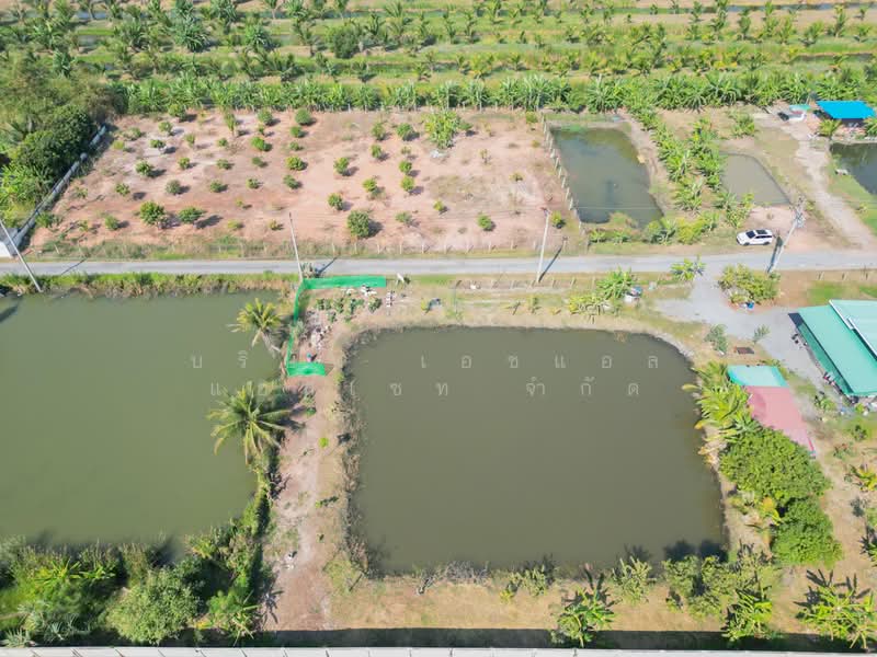 ที่ดินเปล่า ซอย สุวินทวงศ์ 27 ห่างถนนใหญ่เพียง 160 เมตร, Bangkok, Lam Phak Chi, Nong Chok, Bangkok, , 640 sqm, Land For Sale, by บริษัท เอชแอล แอสเซท จำกัด, 500160028 - DDproperty.com