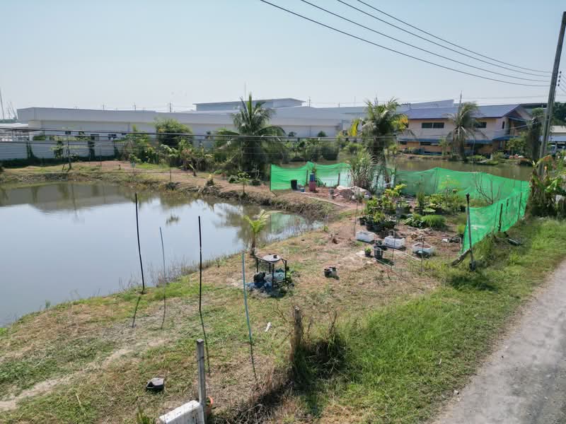 ที่ดินเปล่า ซอย สุวินทวงศ์ 27 ห่างถนนใหญ่เพียง 160 เมตร, Bangkok, Lam Phak Chi, Nong Chok, Bangkok, , 640 sqm, Land For Sale, by บริษัท เอชแอล แอสเซท จำกัด, 500160028 - DDproperty.com