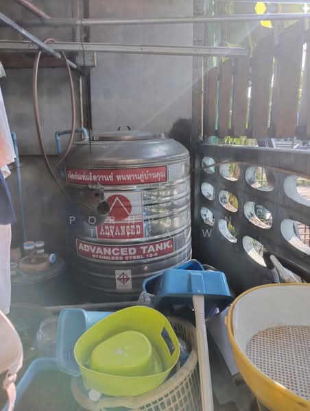 บ้านเดี่ยว ถนนพระราม2 ซอย69 แสมดำ, กรุงเทพ, แสมดำ, บางขุนเทียน, กรุงเทพ, 120 ตร.ม., บ้านเดี่ยว ขาย, โดย Pornpimon Tapkaew, 500160033 - DDproperty.com