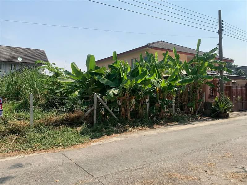 ขาย - ที่ดินเปล่า 100 ตร.ว. ที่ดินเปล่า ซอยรามอินทรา64 ซอยสวนสยาม16 แยก3, กรุงเทพ