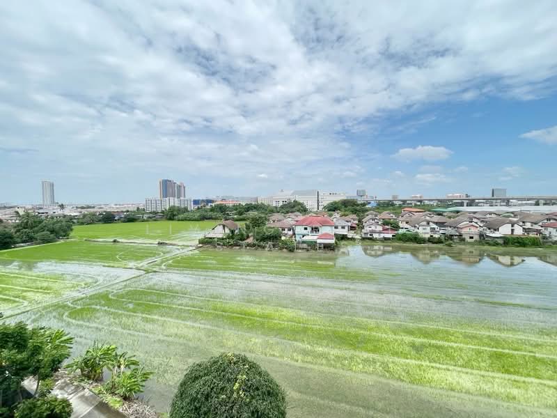 The Iris Bangyai, Nonthaburi, 102/329 Chan Thong Iiam Road, Bang Rak Pattana, Bang Bua Thong, Nonthaburi, 1 Bedroom, 26 sqm, Condo For Rent, by Living Real Estates, 500160224 - DDproperty.com