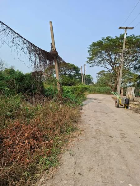 ที่ดินบางเลน นครปฐม, Nakhon Pathom, Bang Rakam, Bang Len, Nakhon Pathom, , 12,504 sqm, Land For Sale, by The Best Property พิมพ์, 500160467 - DDproperty.com