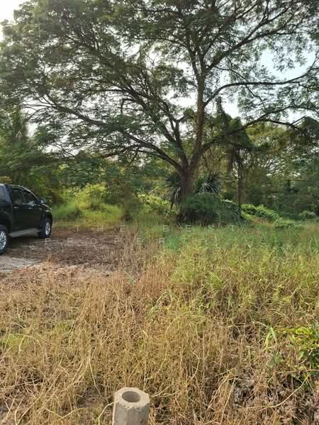 ที่ดินบางเลน นครปฐม, Nakhon Pathom, Bang Rakam, Bang Len, Nakhon Pathom, , 12,504 sqm, Land For Sale, by The Best Property พิมพ์, 500160467 - DDproperty.com