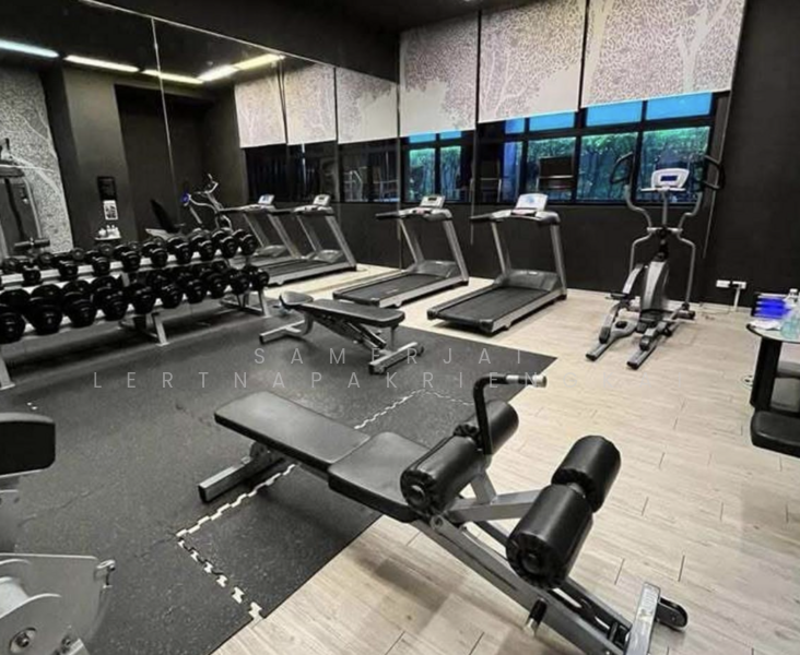 Noble Reveal, Bangkok, 36 Soi Sukhumvit 63, Ekamai Road, Phra Kanong Nua, Watthana, Bangkok, 1 Bedroom, 48 sqm, Condo For Rent, by Samerjai Lertnapakriengkai, 500160494 - DDproperty.com