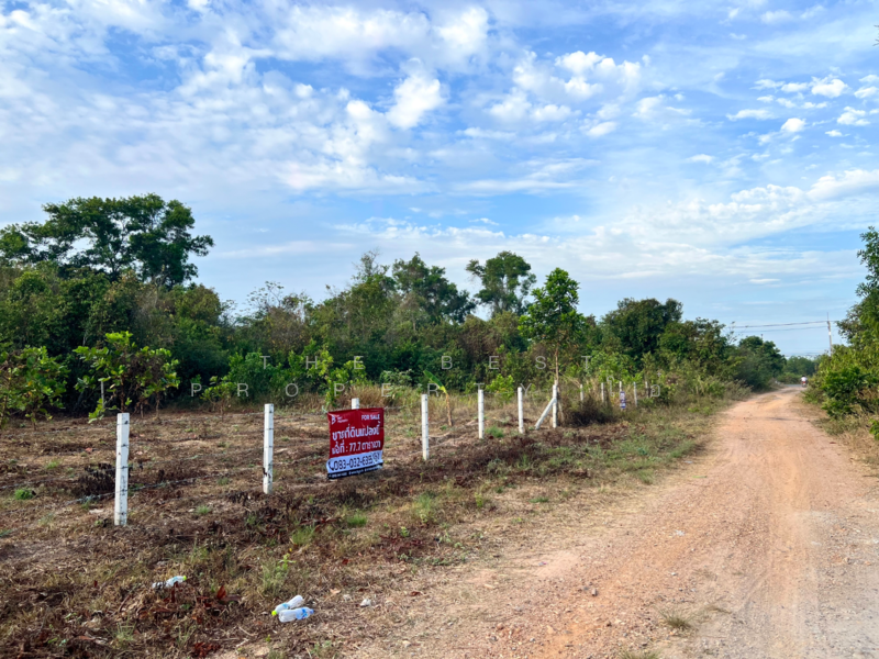 ขาย - ที่ดินหาดใหญ่ สงขลา, สงขลา