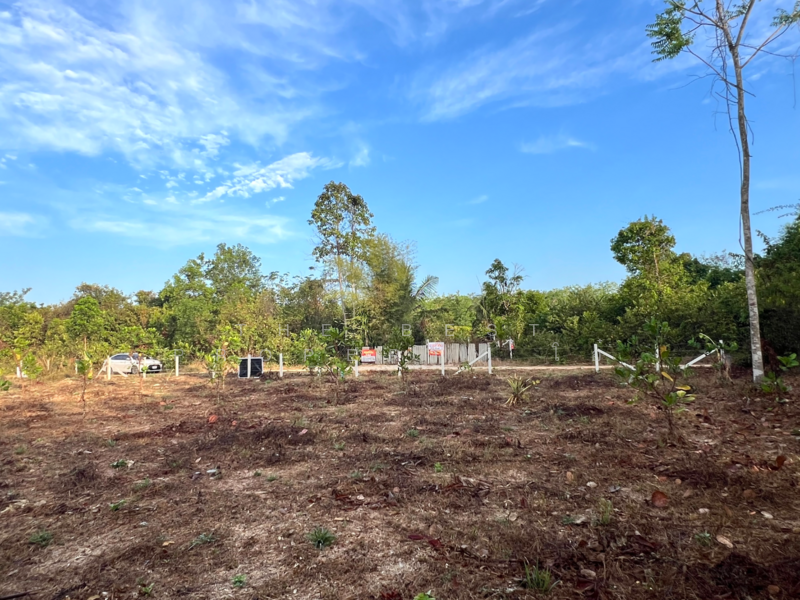 ขาย - ที่ดินหาดใหญ่ สงขลา, สงขลา