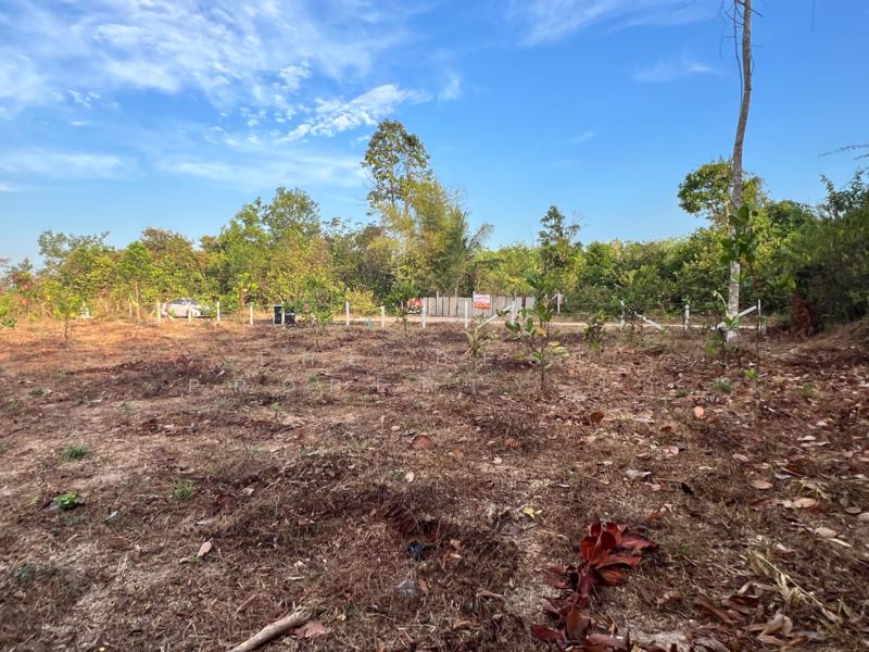 For Sale - ที่ดินหาดใหญ่ สงขลา, Songkhla