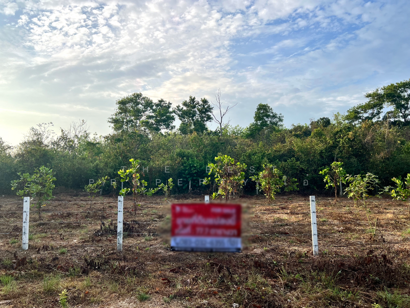 For Sale - ที่ดินหาดใหญ่ สงขลา, Songkhla