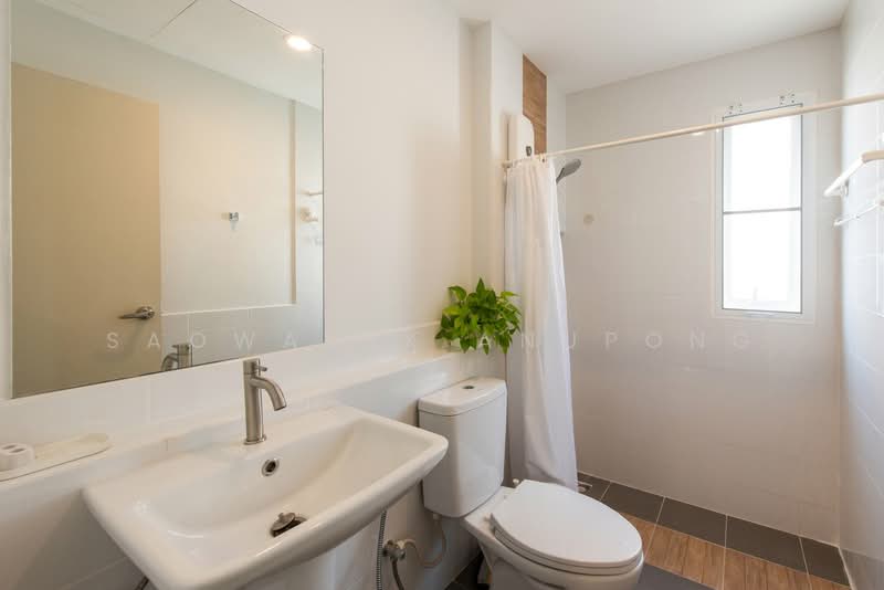 Grande Pleno Mega Bangna แกรนด์ พลีโน่ เมกา บางนา, สมุทรปราการ, บางแก้ว, บางพลี, สมุทรปราการ, 160 ตร.ม., บ้านเดี่ยว ให้เช่า, โดย Saowaluk Anupong, 500160684 - DDproperty.com