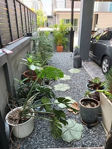 Tiptana Phetkasem 53, Bangkok, เพชรเกษม, Lak Song, Bang Khae, Bangkok, 4 Bedrooms, 180 sqm, Single Detached House For Sale, by Connex Property, 500160728 - DDproperty.com