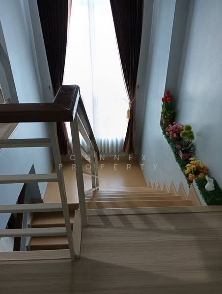 Tiptana Phetkasem 53, Bangkok, เพชรเกษม, Lak Song, Bang Khae, Bangkok, 4 Bedrooms, 180 sqm, Single Detached House For Sale, by Connex Property, 500160728 - DDproperty.com