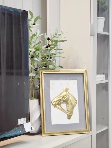 ให้เช่า บ้านเดี่ยว ห้วยขวาง สุทธิสาร เพียง 0.8 กม ถึง MRT สุทธิสาร, กรุงเทพ, ห้วยขวาง, ห้วยขวาง, กรุงเทพ, 300 ตร.ม., บ้านเดี่ยว ให้เช่า, โดย Usuma Usumachat, 500160881 - DDproperty.com