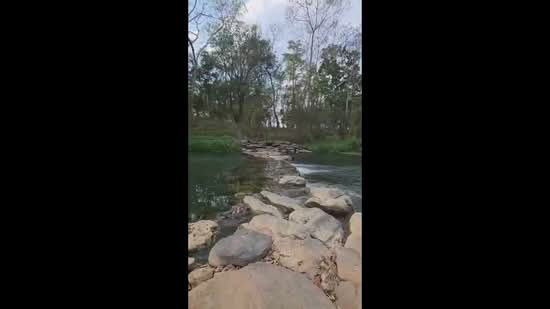 ที่ดินริมน้ำขนงพระ, Nakhon Ratchasima, Khanong Phra, Pak Chong, Nakhon Ratchasima, , 11,200 sqm, Land For Sale, by พลิศภัสร์ โชคธนวีระกานต์, 500160933 - DDproperty.com